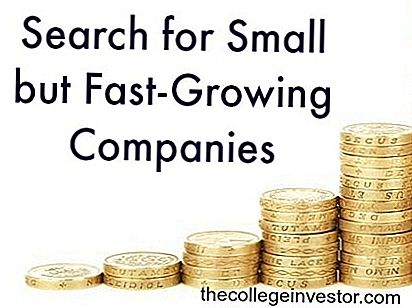 Suggerimento per l'investimento n. 339: ricerca di aziende piccole ma in rapida crescita