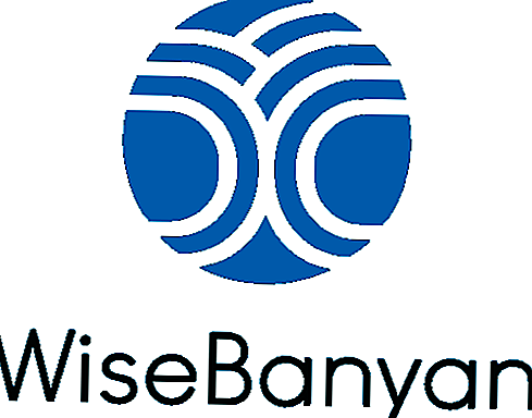 Wisebanyan apskats: bezmaksas tiešsaistes finanšu padomnieks