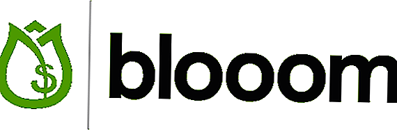 Blooom recenze: Low Cost 401k management a finanční poradenství