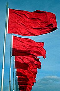 6 Redakcije crvenih zastava kako biste izbjegli IRS