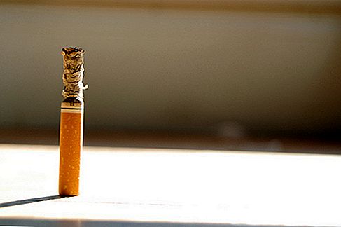 Hvor meget er præmier på livsforsikring, hvis du bruger tobak?