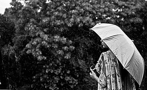 Du ved aldrig, hvornår det kan regne, bedre få din paraply (politik) praktisk