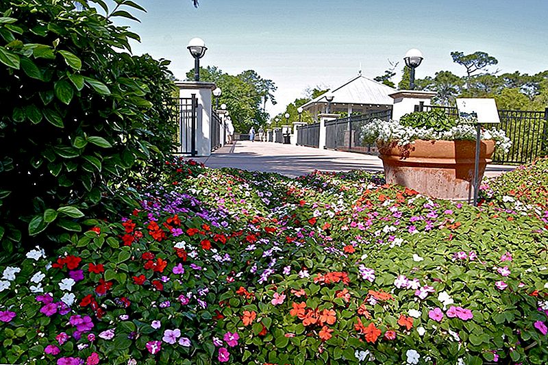 Zastavte a vůně růží zdarma 11. května pro Den národních veřejných zahrad
