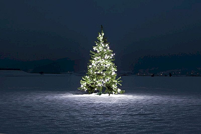 Tænk en kunstig juletræ er en bedre aftale? Du kan blive overrasket
