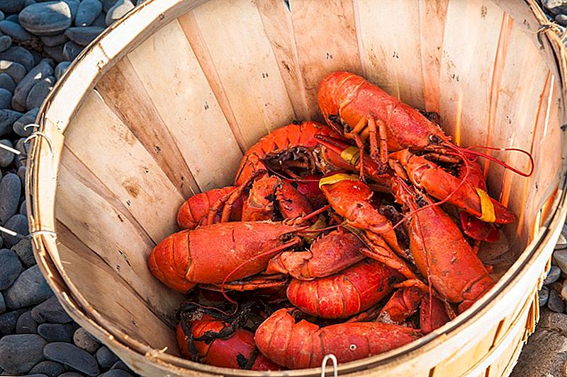 Zašto je Lobster tako skupo? 6 Pricy hrane koja se koristi za prljavštinu jeftini