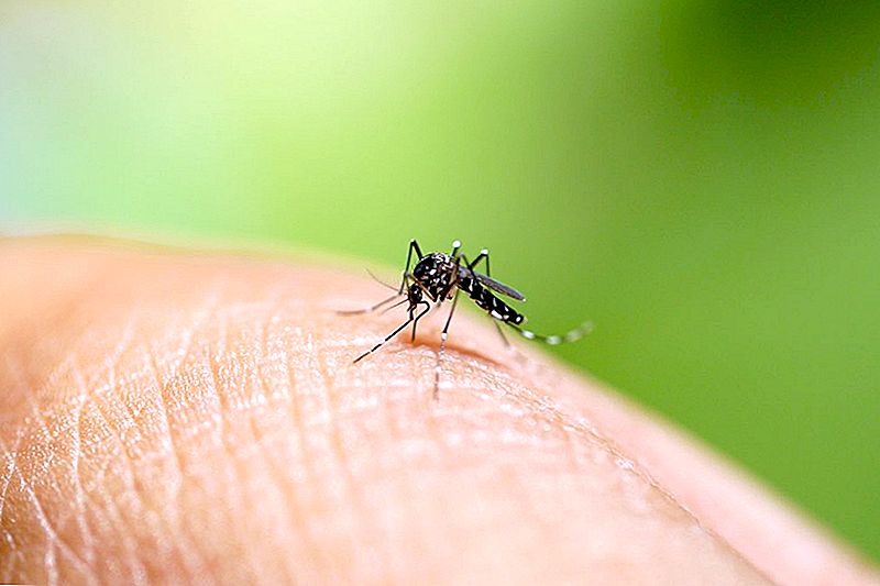 Vrijeme sondiranja. Here's How to Zap Bugs koji širiti virus zapadnog Nila