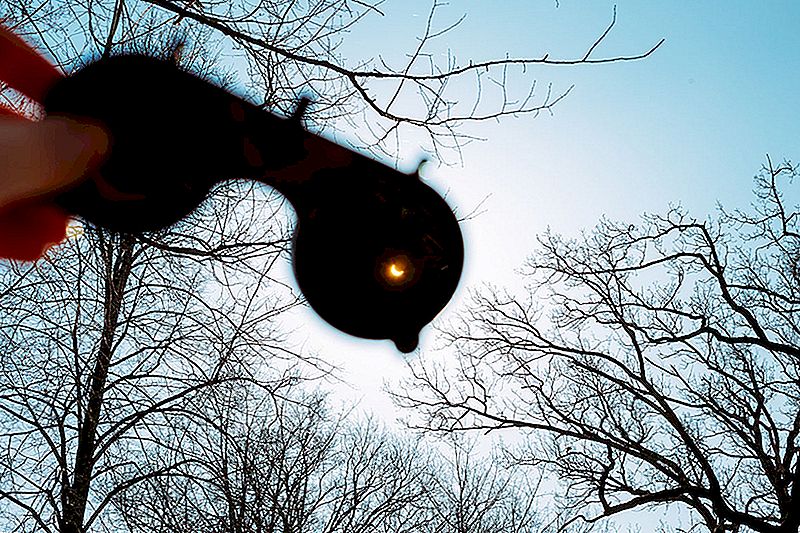 Ecco dove è possibile afferrare la protezione degli occhi per l'Eclipse solare del 21 agosto