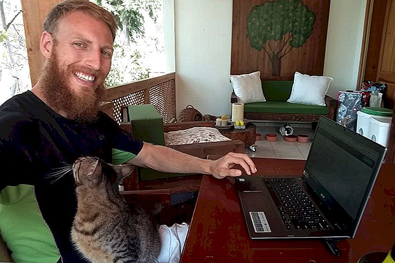 I Fund My World Travels Just Hanging With Cool Pets: Here’s How