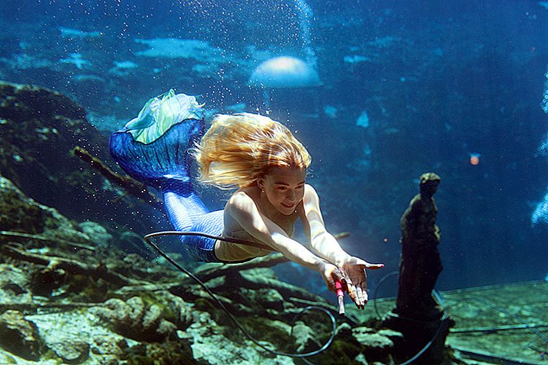 تحت البحر: هؤلاء النساء يصنعن الحياة كحوريات في فلوريدا