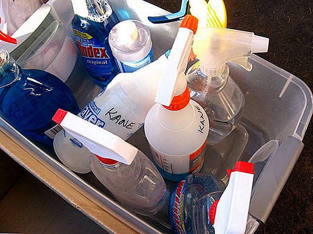 6 Easy DIY puhastusvahendid: kuidas teha oma puhastusvahendeid