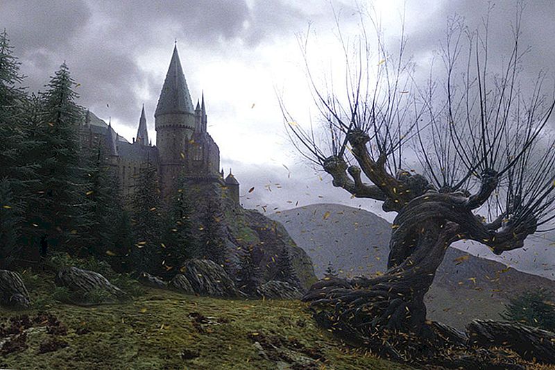 Venter du stadig på dit Hogwarts Acceptance Letter? Tjek denne drømmejob