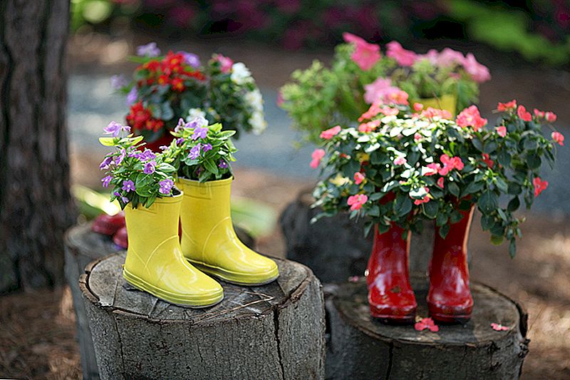 Upcycling 101: Regardez autour de votre maison pour des idées de jardin pas cher