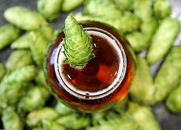Amateurs de bière: Soulevez un verre cette fête pour Cool Freebies Sierra Nevada