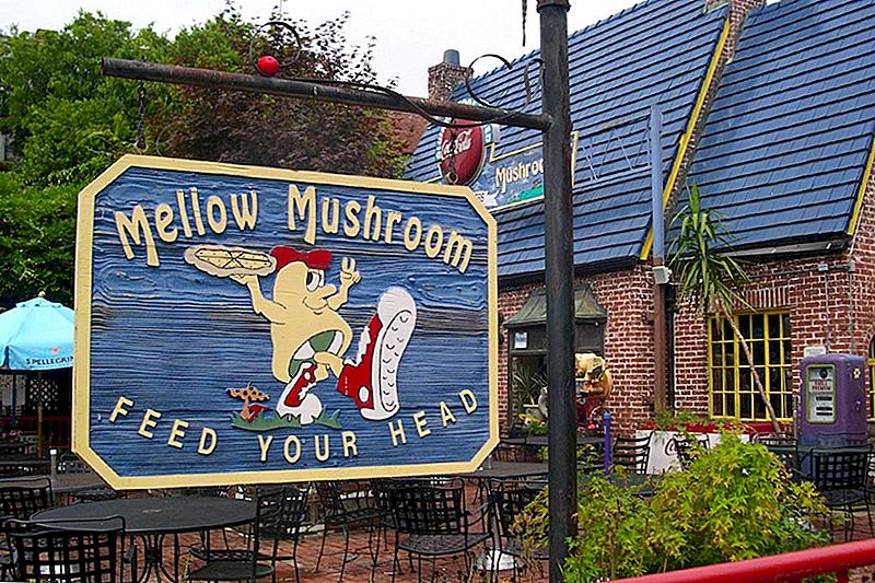 Mellow Mushroom想要給你一個免費的奶酪比薩只為這樣做