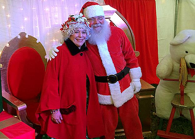 See Naine teeb $ 300 iga jõulukirja kirjutamise kohta Santa