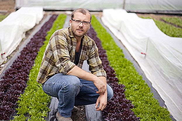 Ovaj Guy je započeo urbanu farmu i sada čini 75.000 dolara godišnje