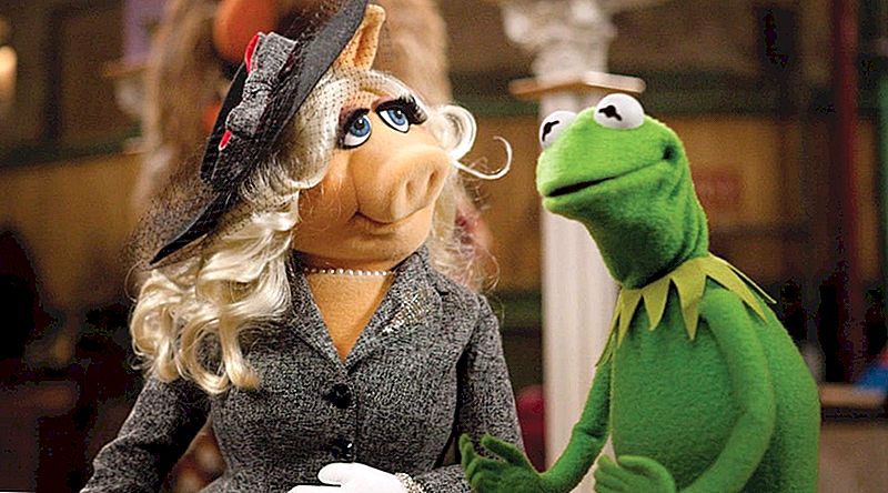Saņem maksu par čivināt Miss Piggy un Kermit: Muppets Nepieciešams sociālo Media Manager