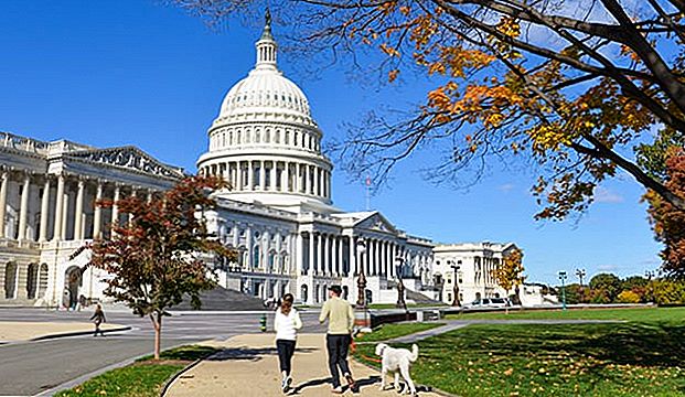 The Local Cheapskate's Guide til Washington, D.C .: Sådan Udforsk Capital for Less