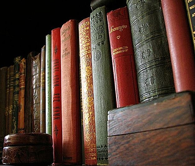 Et hjemmebibliotek på et budget: 9 steder at finde gratis og billigere bøger