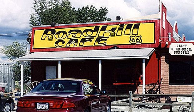 Jesti Roadkill: čudan, ali legalan način da uštedite novac na namirnicama