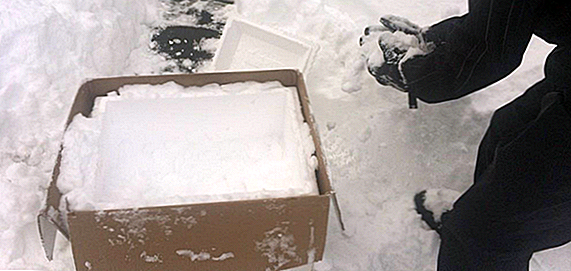 Sådan sælger du sne til $ 89 en boks: Mød manden bag "Ship Snow, Yo"