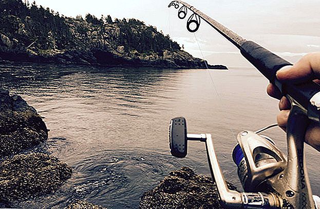 الحياة في أعالي البحار: كيفية الحصول على وظيفة صيد تجاري في ألاسكا