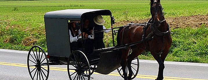 Bor i nærheden af ​​Amish Country? Start en forretning, der hjælper mennesker, der ikke kører