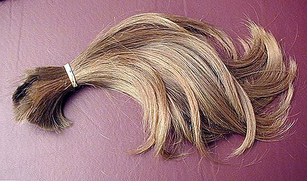Ponytail dobit: Ova žena napravila $ 82 prodaju joj kosu na eBay