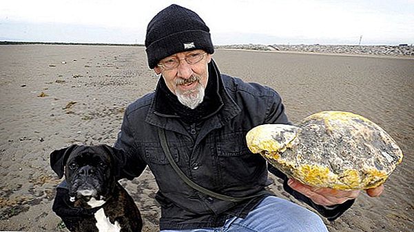 Denne Guy Made $ 60,000 Selling a Piece of Whale Vomit